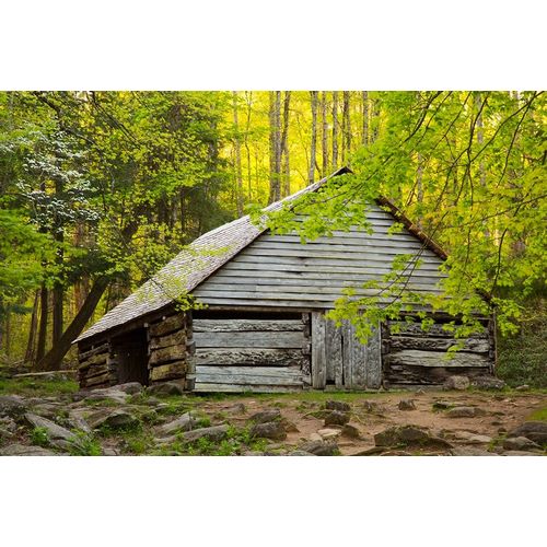 Tennessee Old barn at Bud Ogle cabin along Roaring Fork Nature Trail